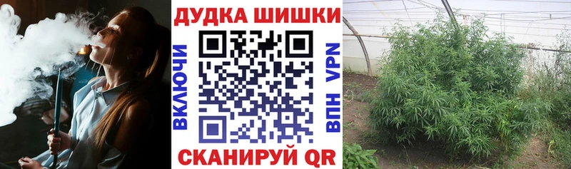 Бошки Шишки AK-47  omg как зайти  Гороховец 